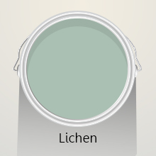 Colours of the Month: Lichen
