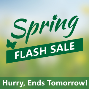 Spring Flash Sale ends Tomorrow
