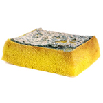 Kitchen Sponges: Our Top 10 Tips for Safety in the Kitchen
