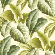 The botanical tropical leaf pattern of this Grandeco wallpaper, is ideally suited to an urban jungle kitchen.