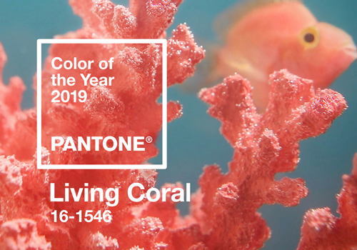 The Pantone colour of the year 2019 is Living Coral – a beautiful shade of orange/pink.