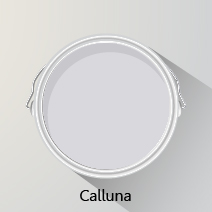 Colours of the Month: Calluna