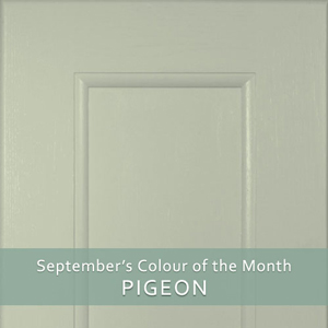 September’s Colour of the Month: Pigeon