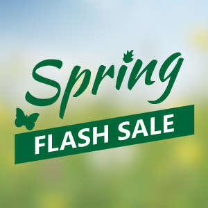 Spring flash sale width: 100%;